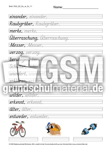 DSS_2S_Bu_er_Nr_11.pdf